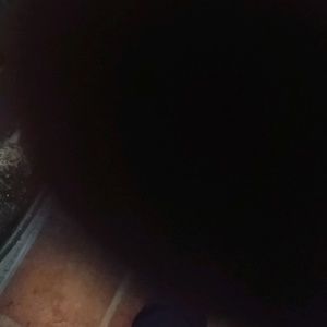 Meet your Posher, Gavin